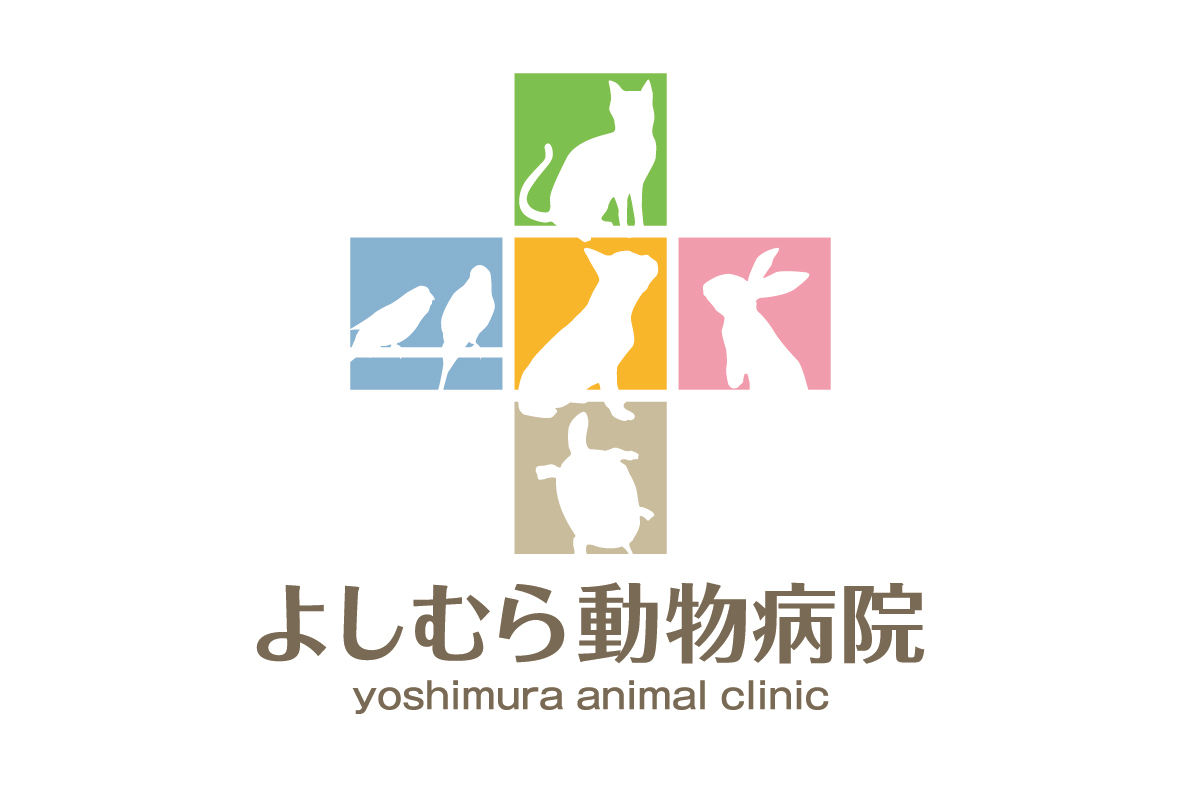 アニマルクリニックより発注を受けたロゴです。猫・鳥・犬・兔・亀を使用した、緑色・青色・橙色・桃色・薄茶色のカラフルなデザインです。