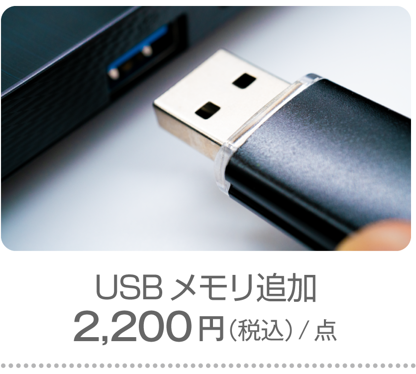 ロゴマーク販売オプション：USBメモリ追加